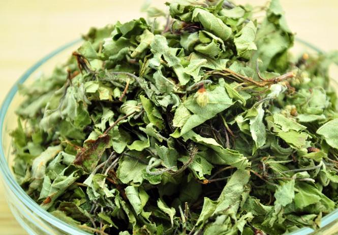 雪域俄色茶 三高人群的福星 - 知乎