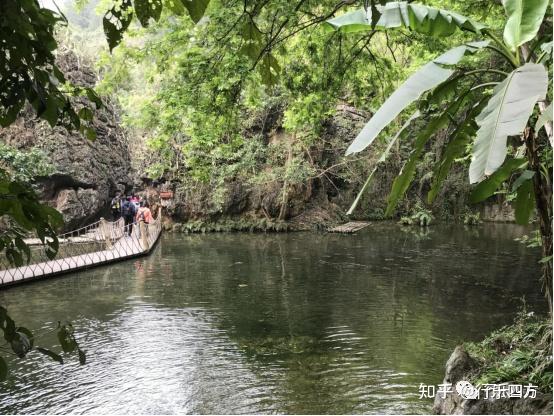 黄果树大瀑布细品-黄果树的瀑布短文答案