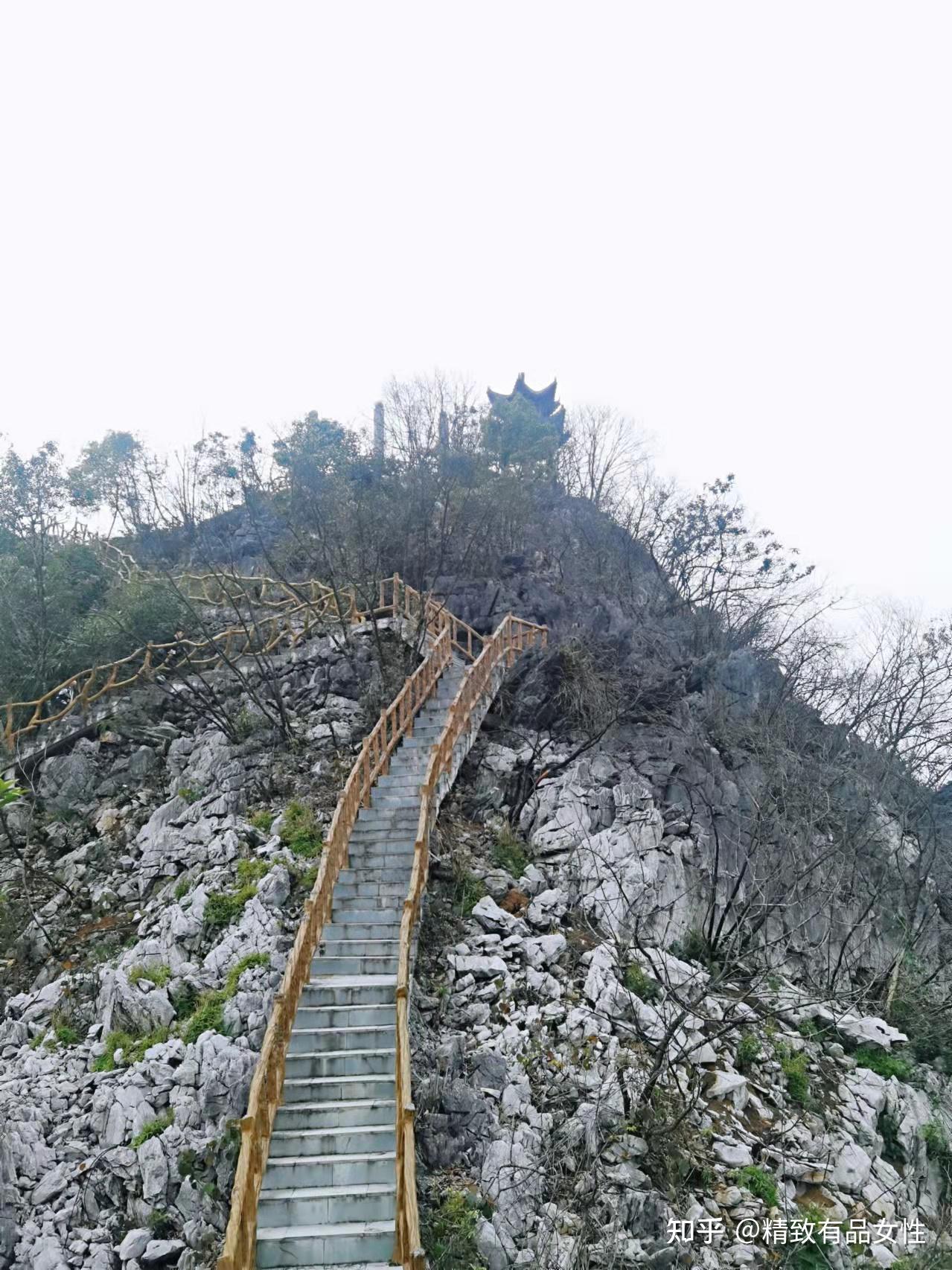 广西桃花水母天窗图片