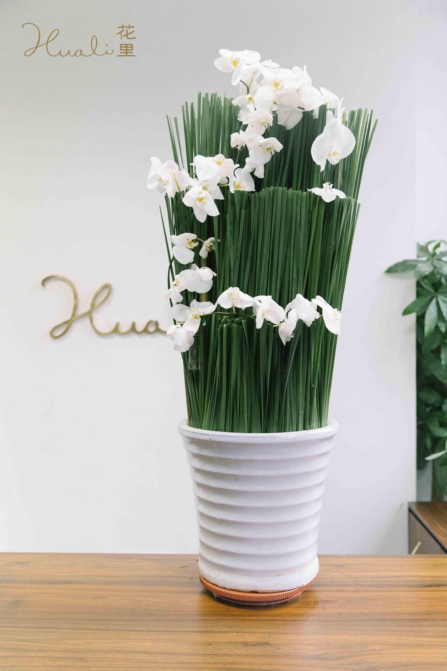 插花知识丨日本花道的三大流派介绍 知乎