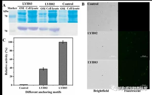 sum-cells-based-on-background-color