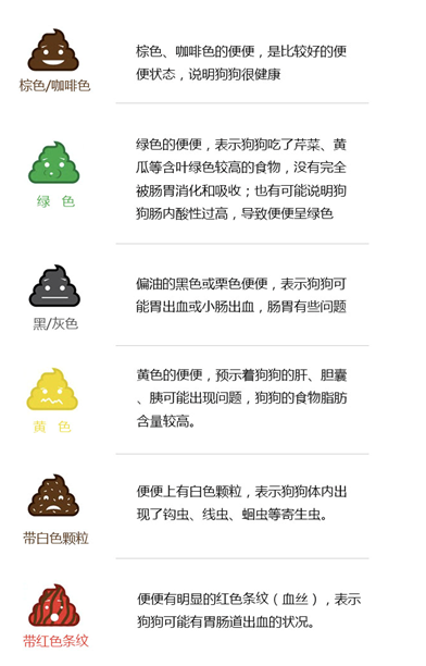 「狗狗软便」症状与解决 - 知乎