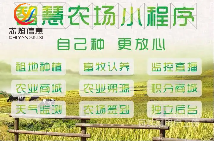 互联网认养制认养农业悄然走红引领传统农业转型升级