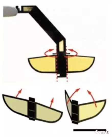 哈佛机器人,学会了轻功水上漂