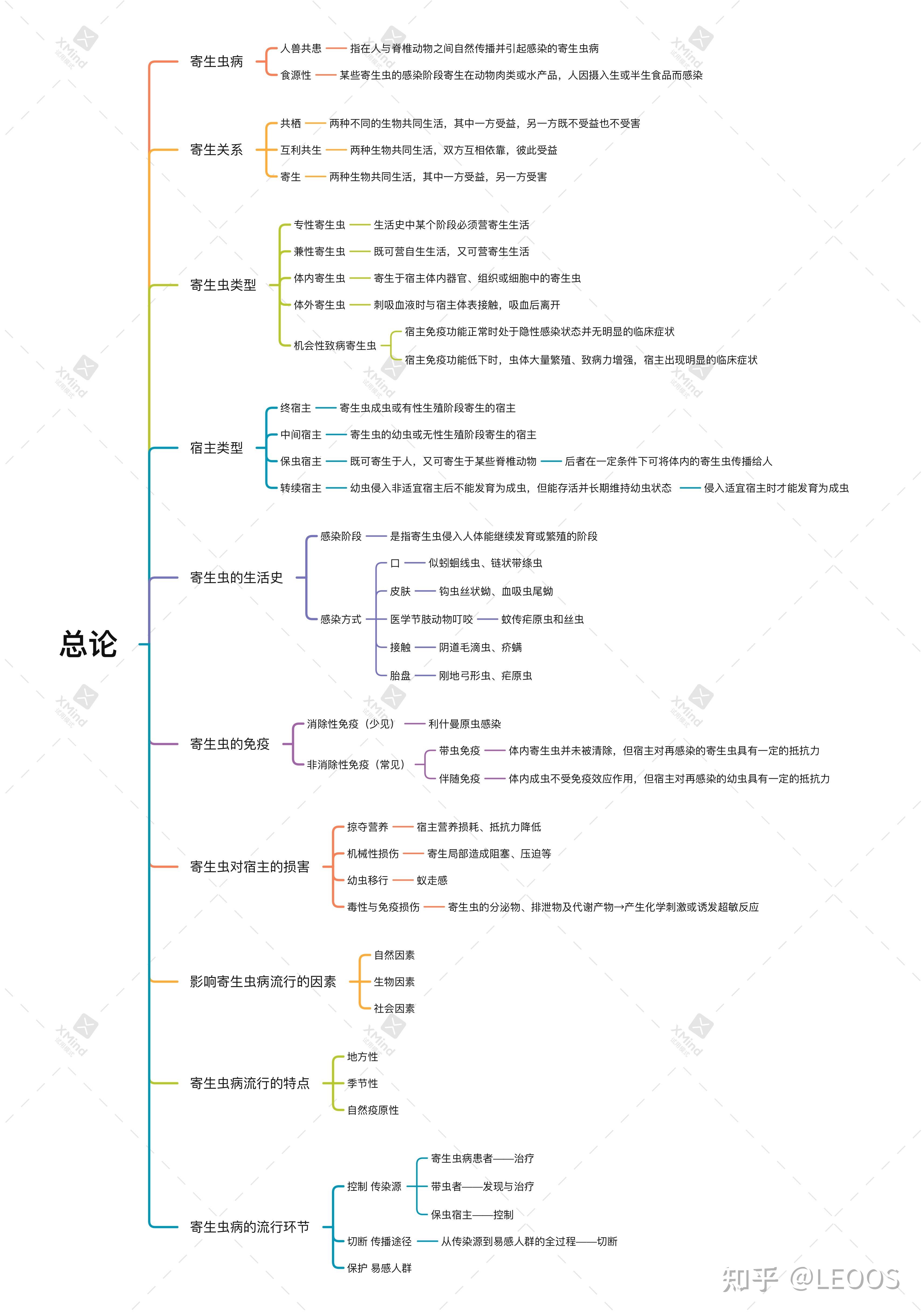 血吸虫生活史思维导图图片