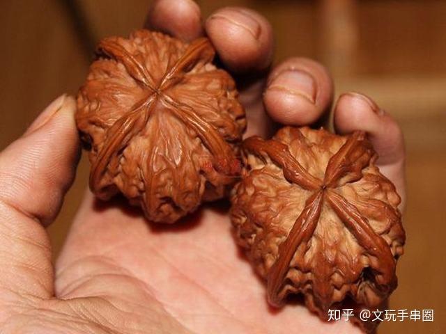 全面解析：文玩核桃的100种品种之篇3：磨盘狮子头。 - 知乎