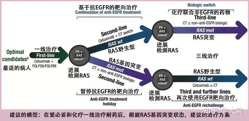 一文了解结直肠癌西妥昔单抗耐药机制