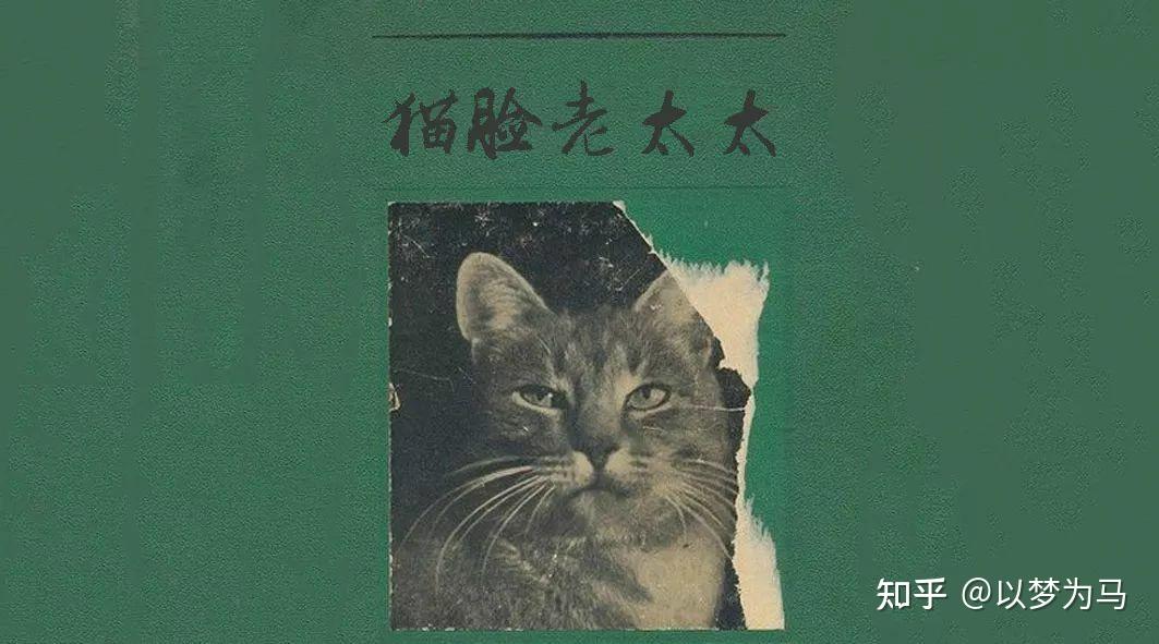 哈尔滨猫脸老太事件始末