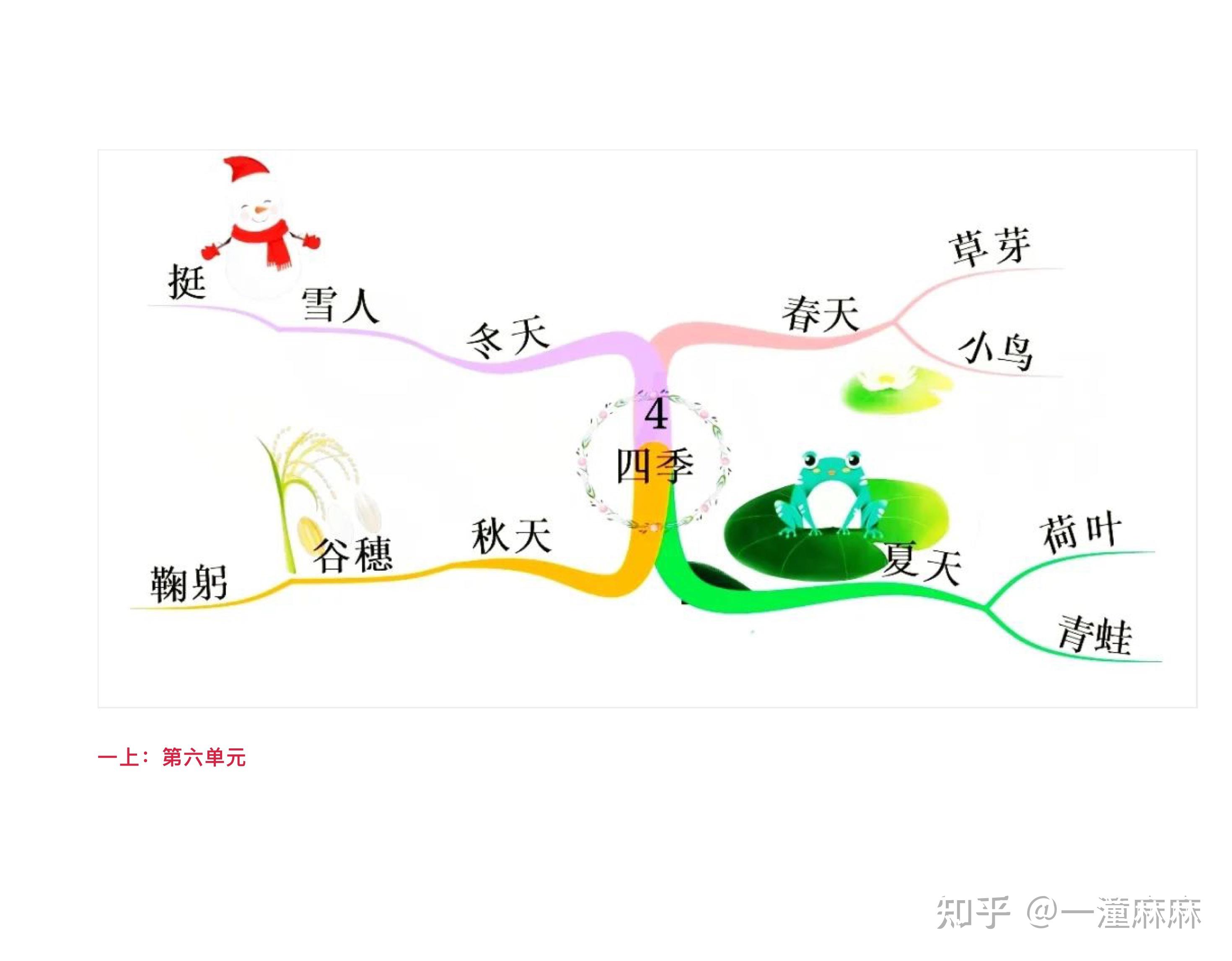 火爆全网的一年级