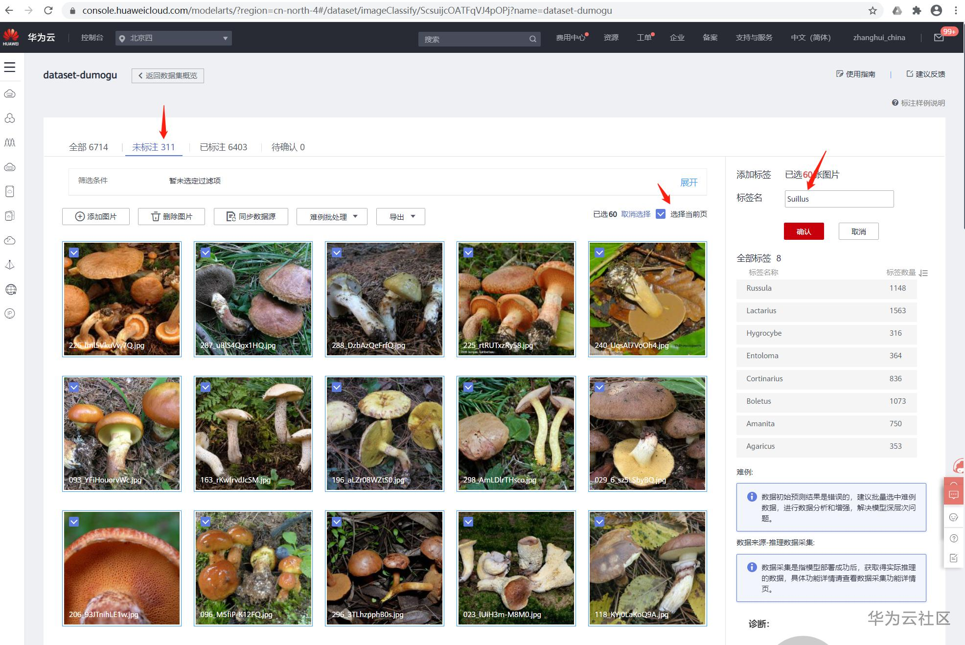 手把手教你使用ModelArts的自动学习识别毒蘑菇分类 手把手教你使用ModelArts的自动学习识别毒蘑菇分类