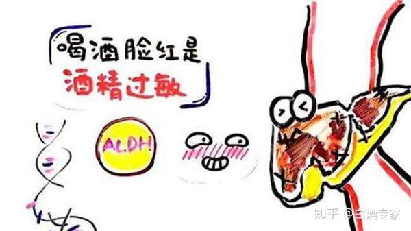 酒精过敏又想醉一回?快来学学这些小妙招 - 知乎