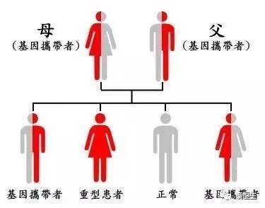 v2-5d33eae7c41de53d713b6e49407d7eb0_1200x500.jpg