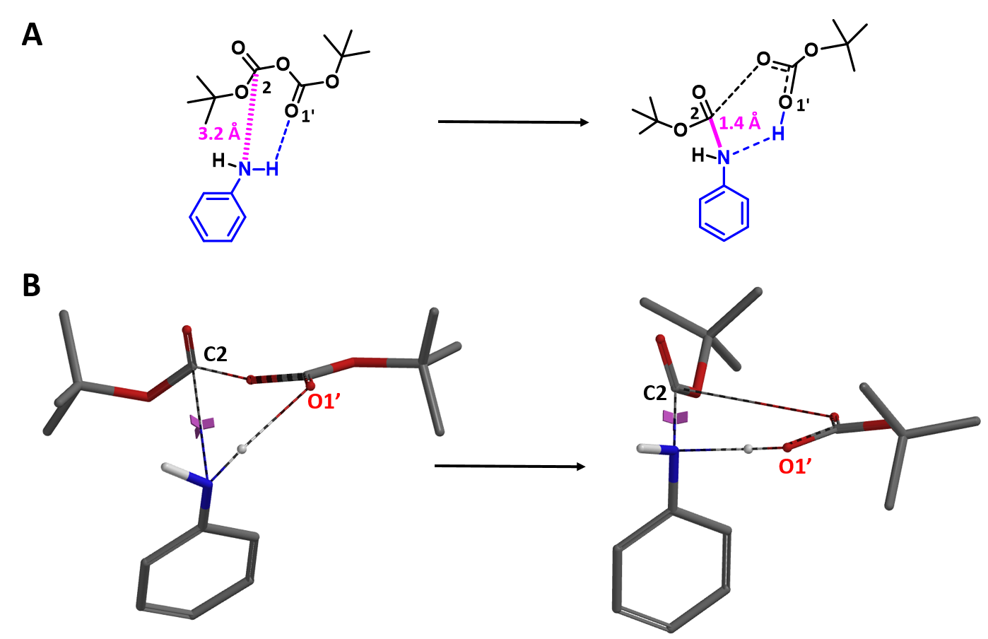 Qm Boc