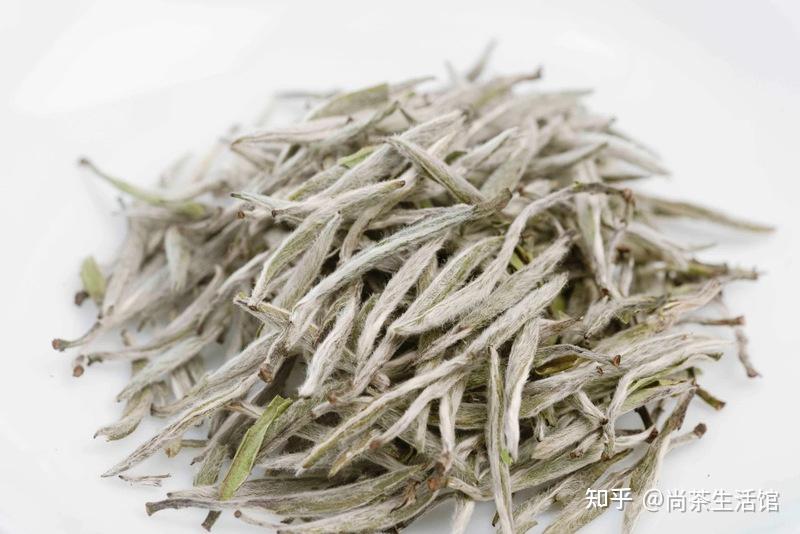 尚茶带你了解一杯好白茶的标准