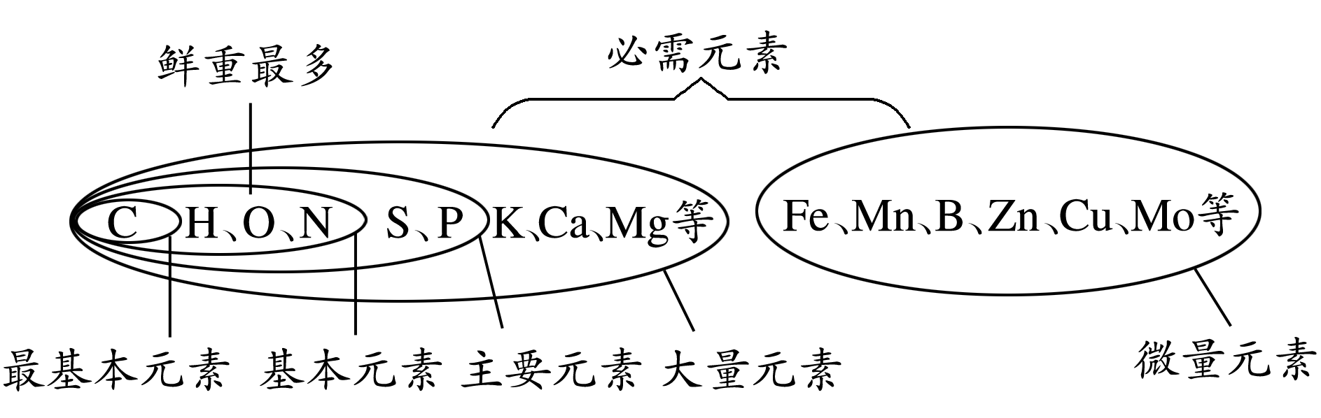 今天生物懂點啥02細胞中的元素化合物和無機物