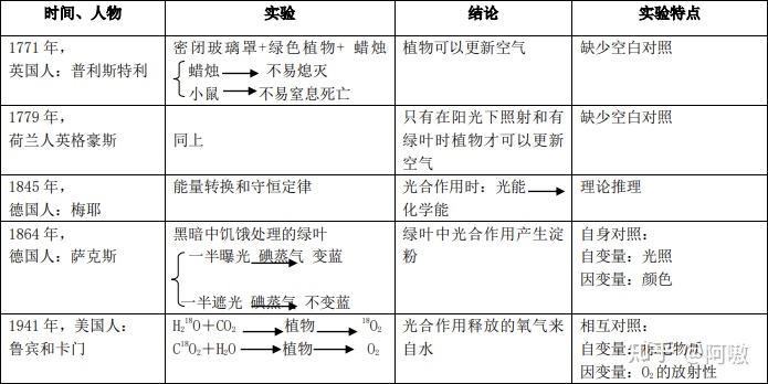 高中生物必修一•光合作用与能量转化（二） - 知乎