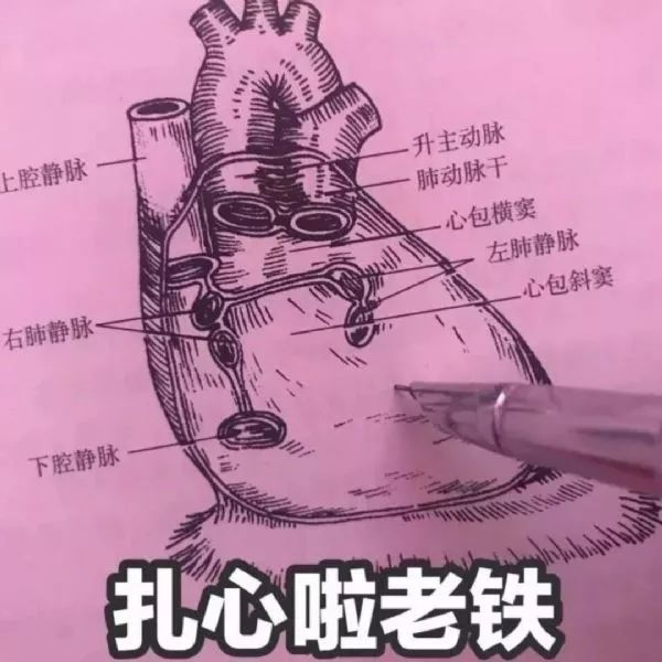 医学生专属【表情包】!拿走不谢! - 知乎