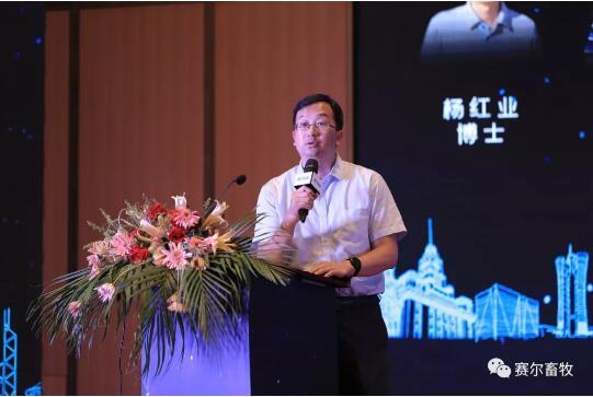 上海新农饲料股份有限公司技术总监陈英杰征泰集团副总裁兼技术总监