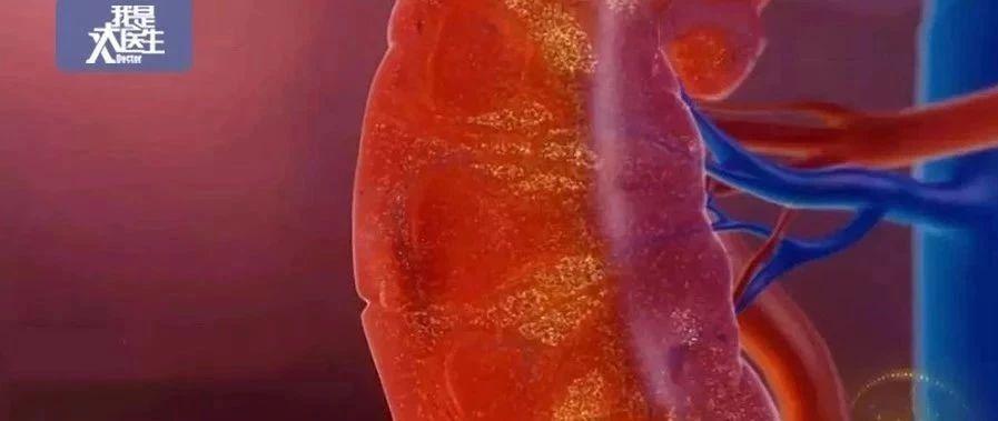 v2-5d4bfe66081dbef85295699ad6216d15_1440w.jpg?source=172ae18b