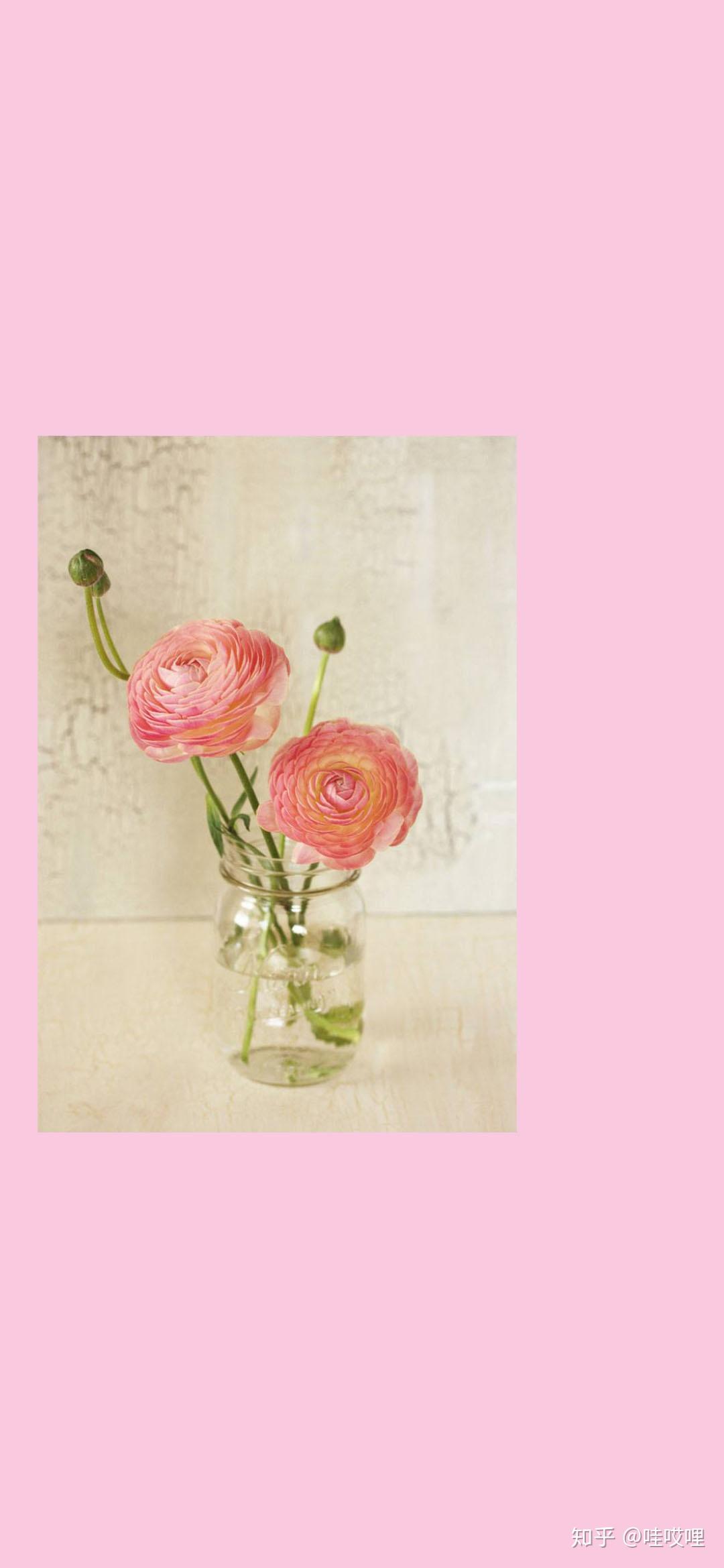 补丁壁纸樱粉花朵壁纸手机壁纸