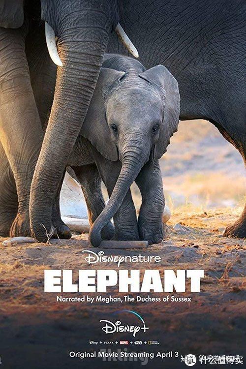 85. 《大象》elephant