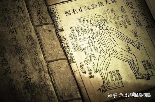 究竟是谁偷走了我们的气血(深度好文) - 知乎