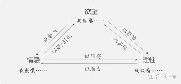 批判性思维的生理基础 大脑的欲望 情感 理性 知乎