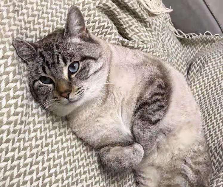 我当健身教练这几年 上 知乎