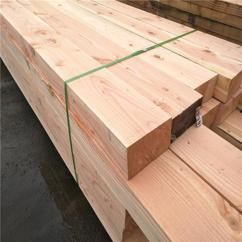 花旗松的主要特点