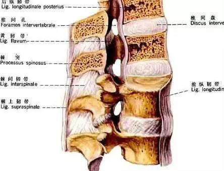 v2-5d9fdf07190aeee488735b29fe7aaa7f_1440w.jpg?source=172ae18b