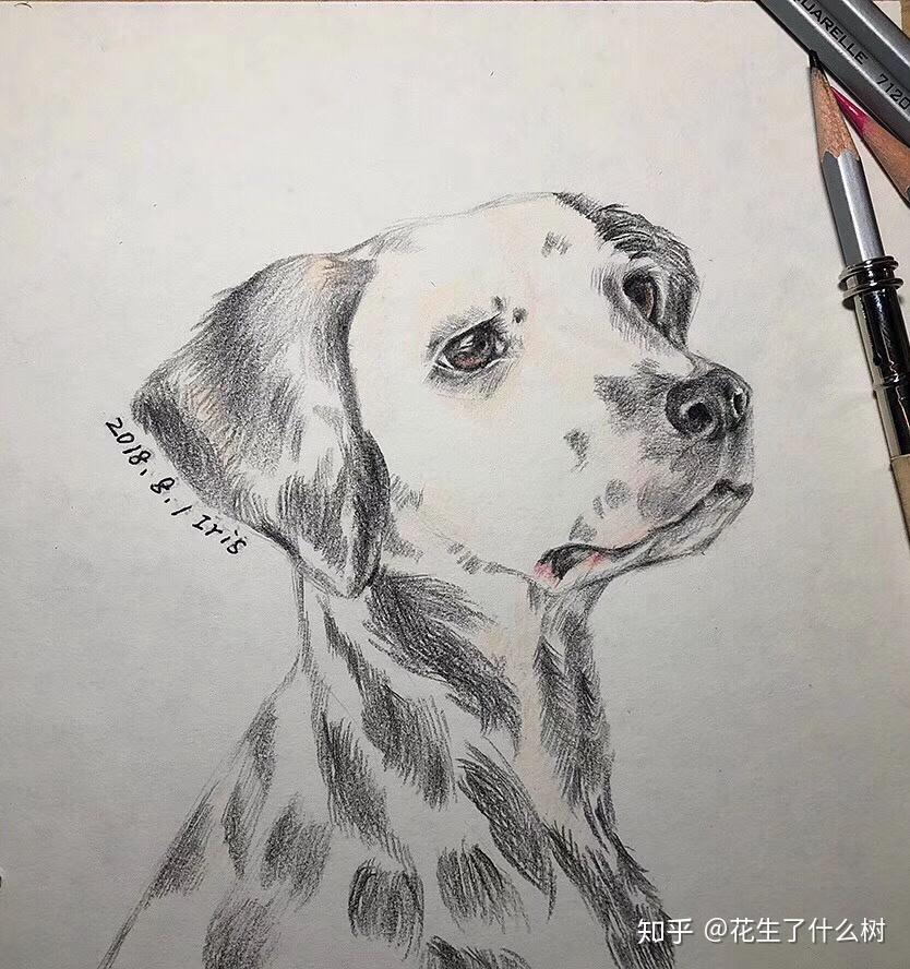 初中生画成这样还能有走美术路吗
