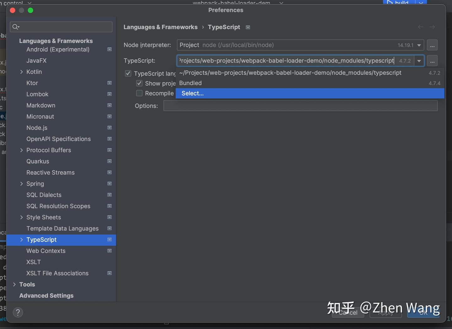 【长文详解】TypeScript与Babel、webpack的关系以及IDE对TS的类型检查 - 知乎