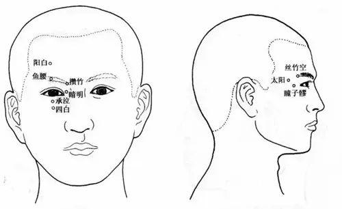①攒竹穴位置 眉头下方凹陷处