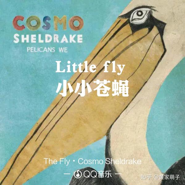 《the fly》——cosmo sheldrake 前奏稍微有點長,節奏很魔性,歌詞有