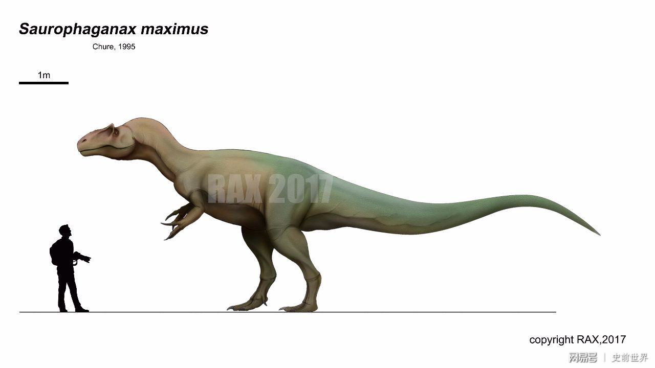 多,毕竟现代人是真的不会石器制作和长矛投掷这样的恐怖直立猿基本功