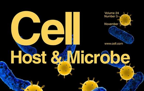 国内两篇Cell Host & Microbe丨分别揭示寨卡病毒RNA结构及固有免疫MAVS信号通路新型调控分子 - 知乎
