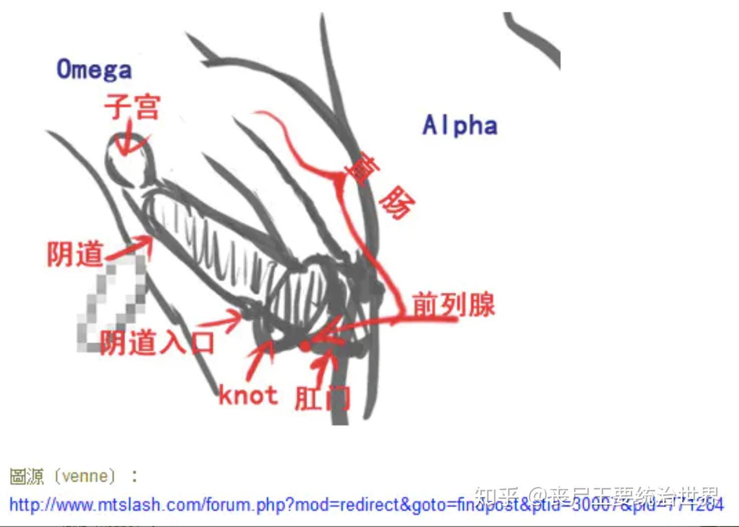 ABO怎么终身标记图片