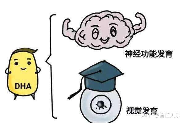 ARA是什么有必要给孩子补充ARA吗 知乎