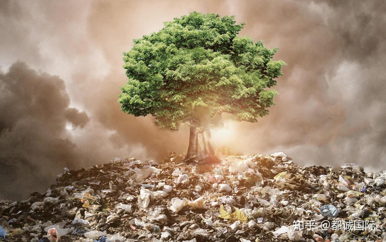 老街旧友制止餐饮浪费餐企更大的挑战来了