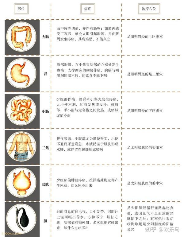 邪气脏腑病形:邪气对脏腑的侵袭 - 知乎