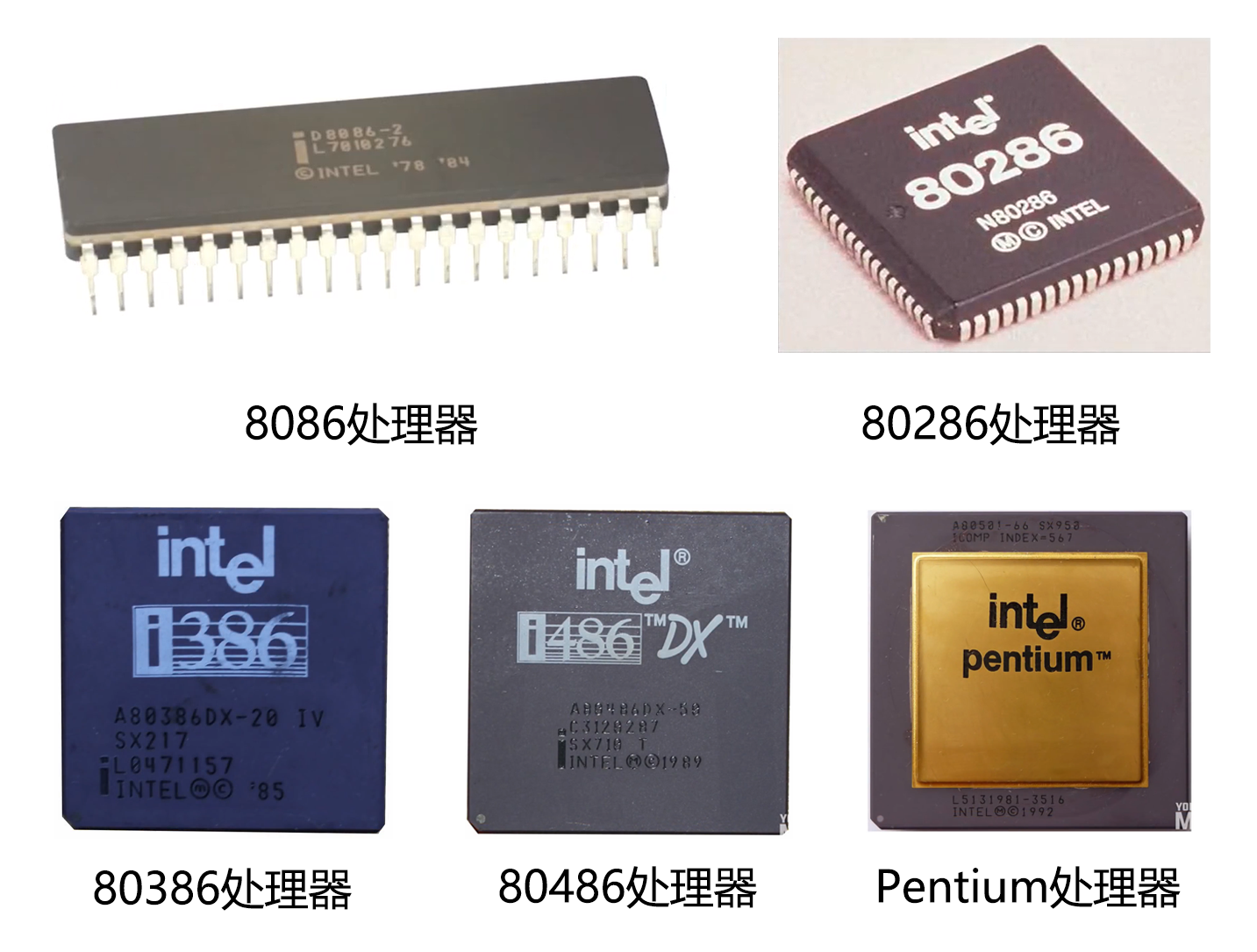 x86处理器