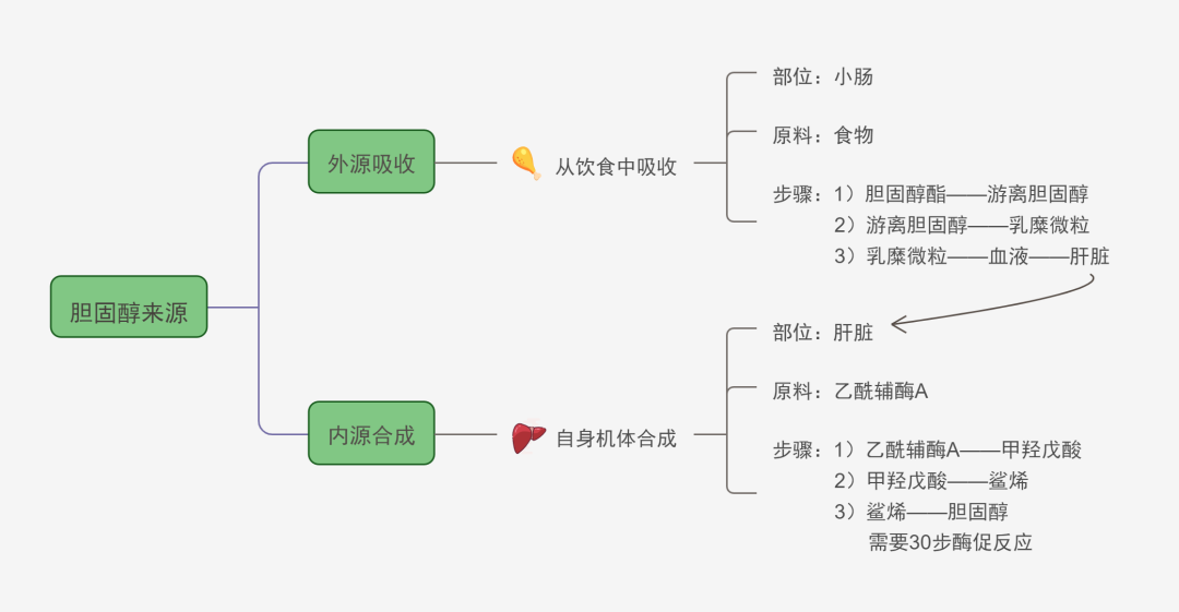 机体内胆固醇合成代谢的主要场所在肝脏,其次是肾上腺,皮肤,神经组织