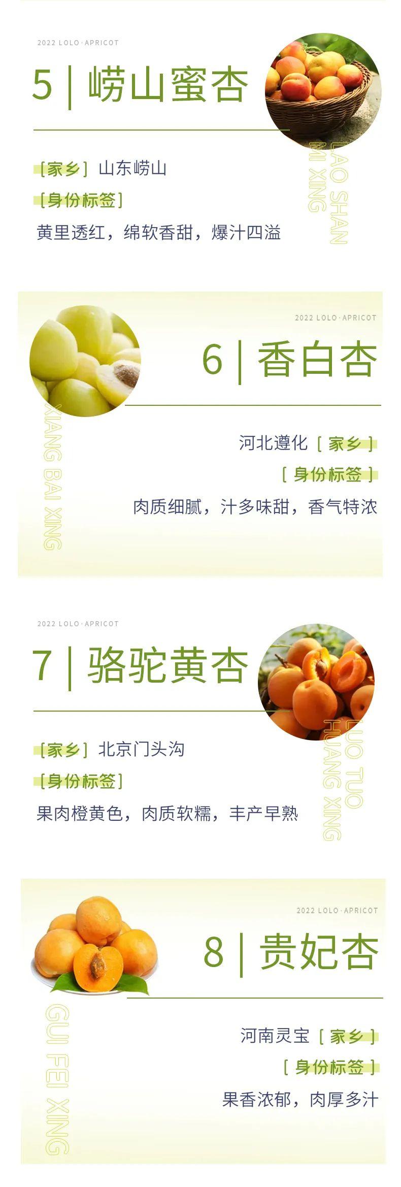 承德露露探秘中华杏的多重身份 - 知乎