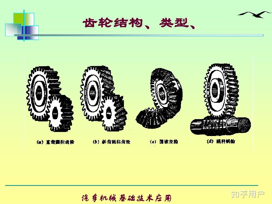 内齿轮和外齿轮的区别图片