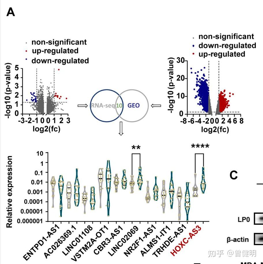 两次差异分析结果交集需要有多大才算是一致呢 - 知乎