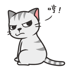 为猫咪做绝育手术需要注意什么 价格是多少 知乎