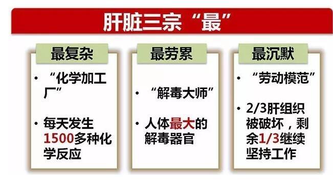 你肝净吗保肝护肝从加入肝保卡开始