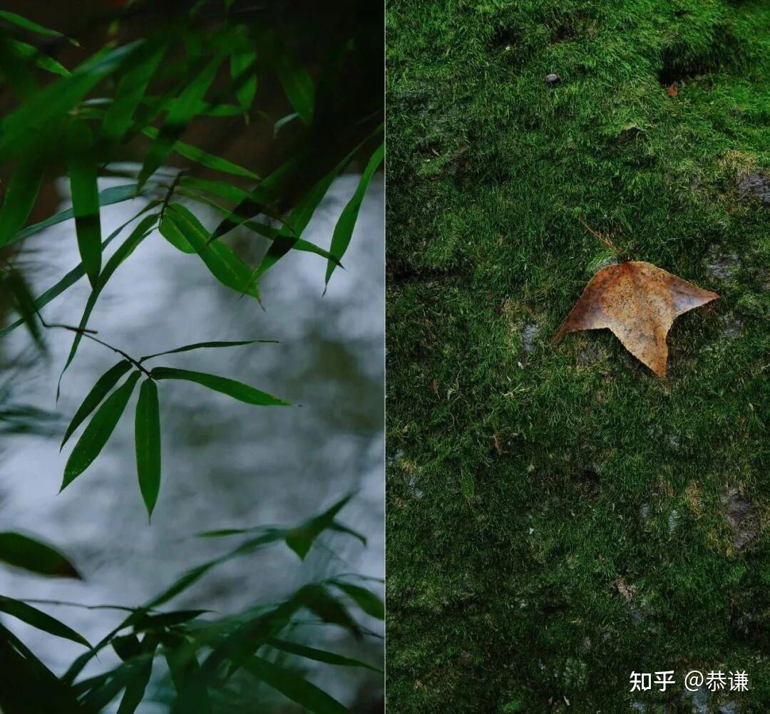 紫微斗数自学精品课【八】天干四化、口诀、概念、及运用。 - 知乎