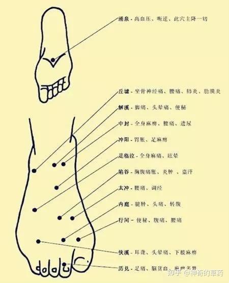 非常完整的人体穴位图与功效（果断收藏） - 知乎