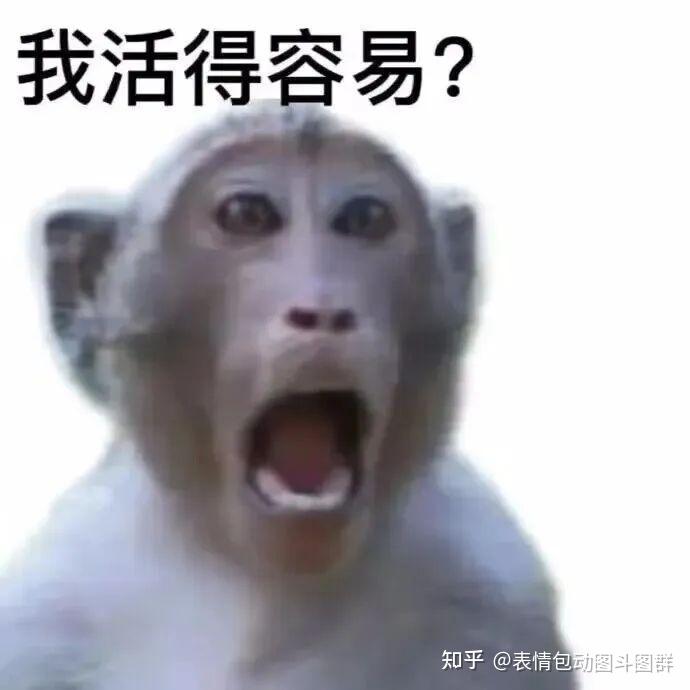 我容易吗?我请客